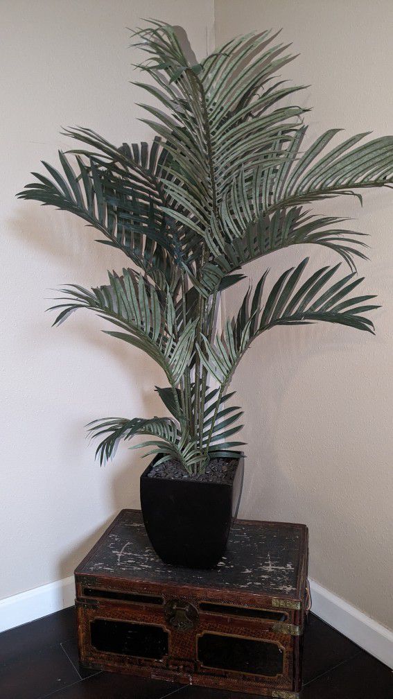 Faux Plant/Are a Palm