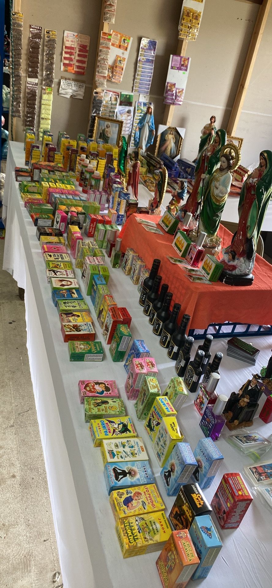 Botánica La Fe
