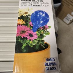 Water Globes Self Watering For Plants 