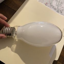 light bulb large