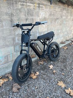Q20 Ridstar