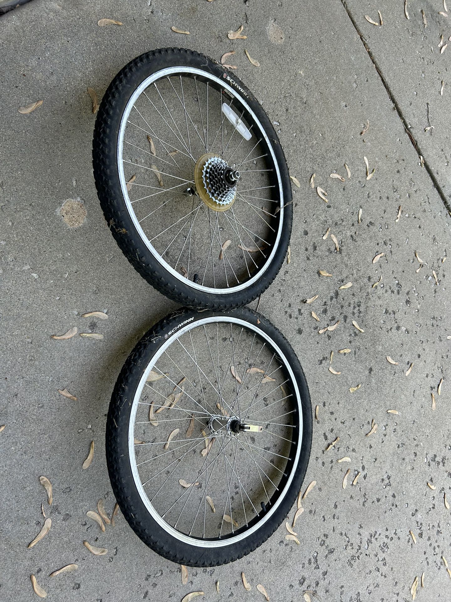 24” Bike Tire