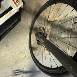 Cannondale Solo 