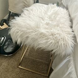 Fur Chair! $10