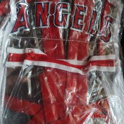 Angels Clear Backpack