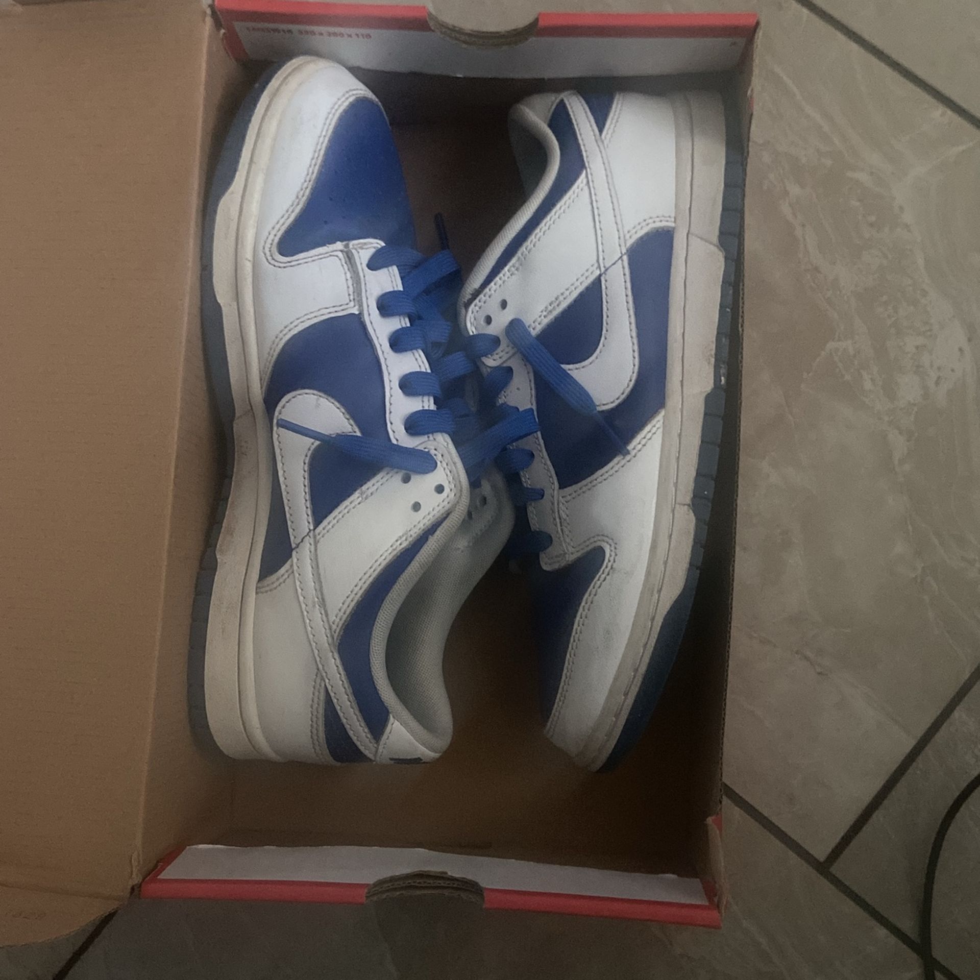 Nike Dunk Racer Blues