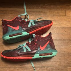 Lebron Basketball Shoes