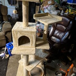 cat towers