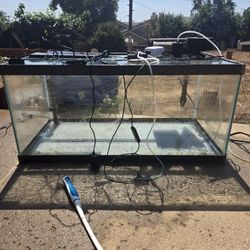 Fish Tank