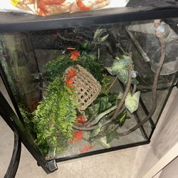 size  30 gallon  