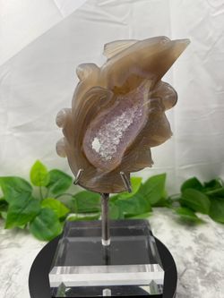 Rare Crystal Agate Dolphin Fish