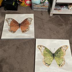 butterfly portraits