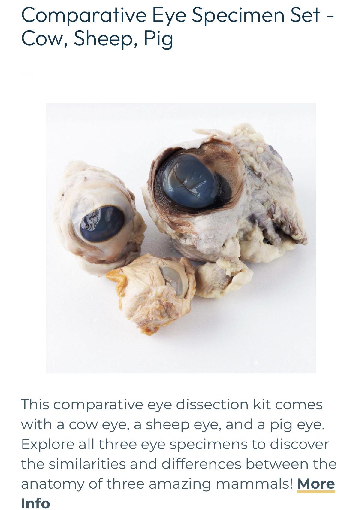 Dissection Kit