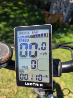 Lectric XP 2.0 Step-thru