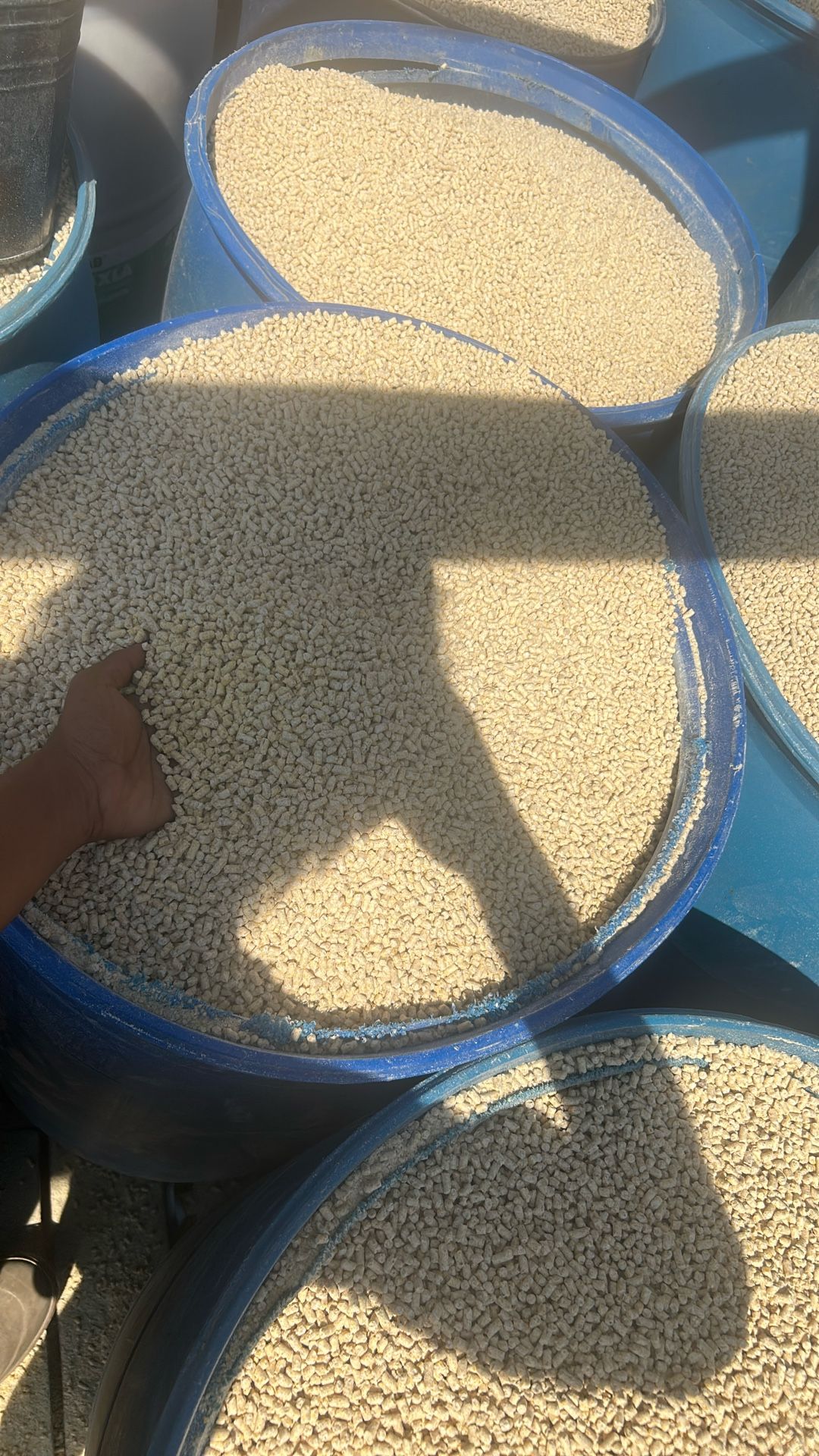 “Churro” Feed For Chickens,etc