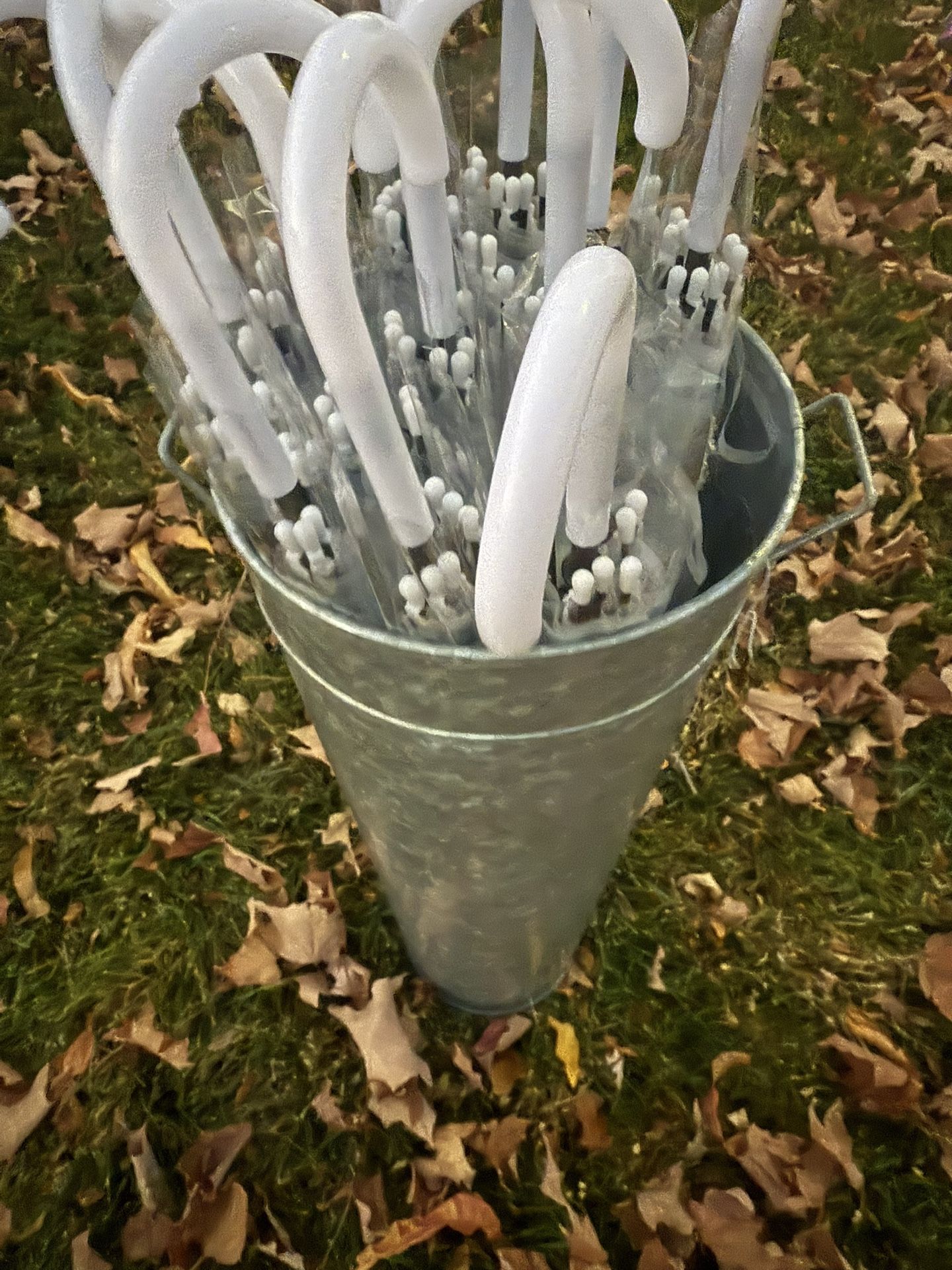 13 Clear Large Umbrellas