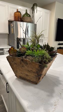 Artificial succulent box