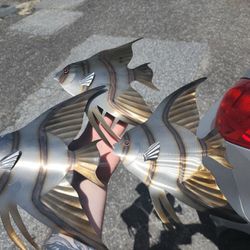 Fish Decorations 