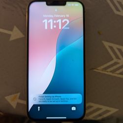  iPhone 13 Pro Max - Great Condition!