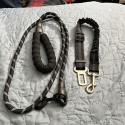 Seat Belts 