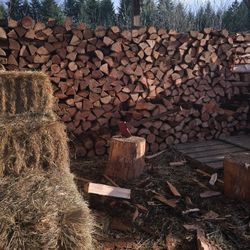 Firewood