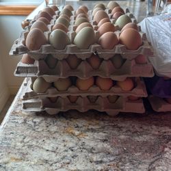 Huevos/ Eggs Organicos