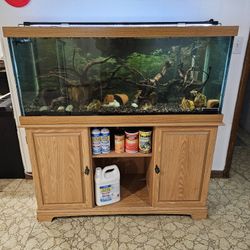 75 Gallon Fish Tank 