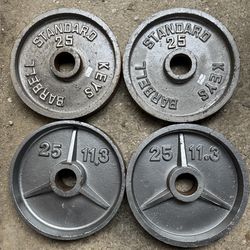 Olympic weight set 100 lbs