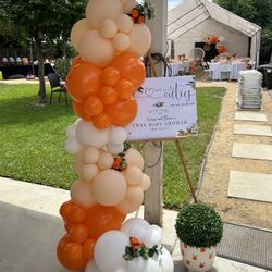 Balloons & Backdrops 