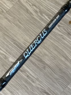 Swimbait fishing rod
