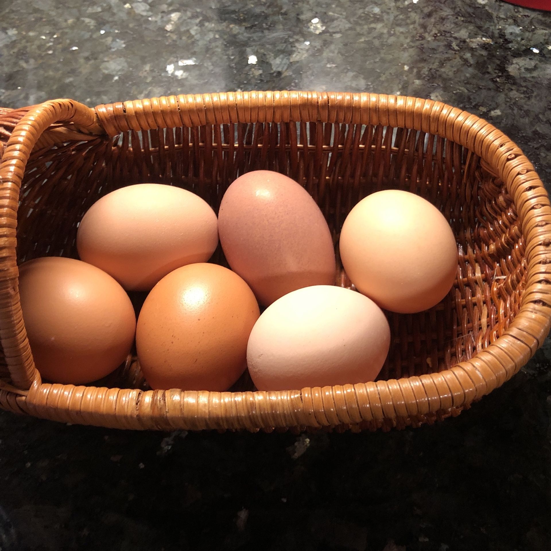 Organic Eggs