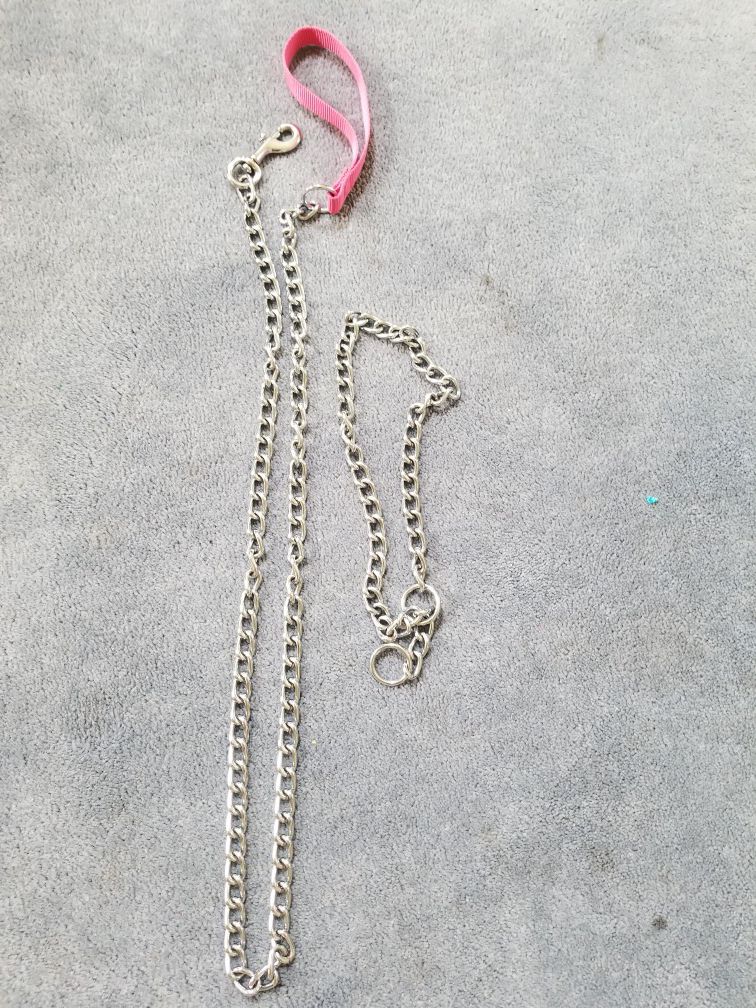 Dog Chain/ Training Collar
