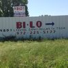 BI-LO AUTO PARTS 