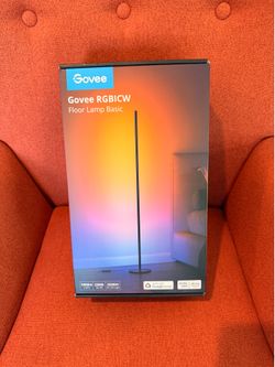 Govee Floor Lamp Basic