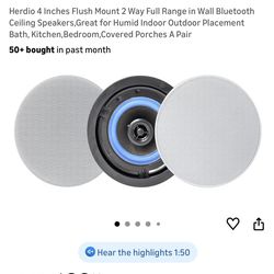 Ceiling Speaker 1