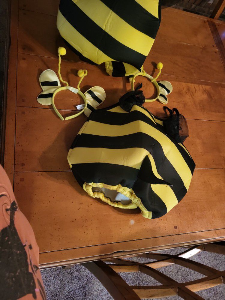 Bumble Bee Costume For Halloween