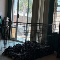XL Foldable Dog crate 