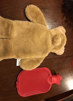 Water heated bag with teddy bear cover