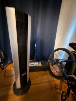 Fan