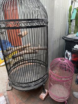 Bird Cages