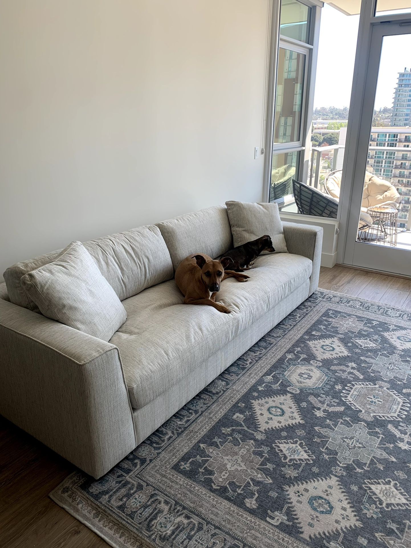 Poly & Bark Couch
