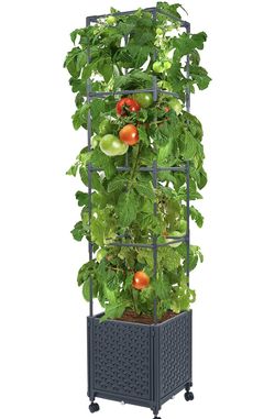 Planter Box w/Trellis and Wheels