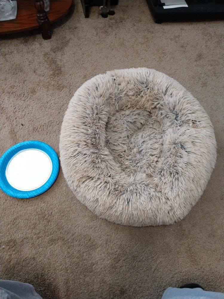 Small Dog Bed