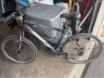 Adult L frame bike