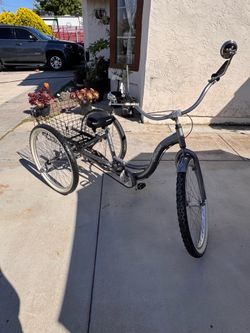 Schwinn Adult trycicle