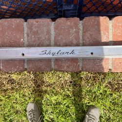 Buick Skylark Door Sills Thresholds 