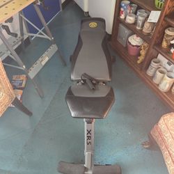 Golds Gym Workout Bench 