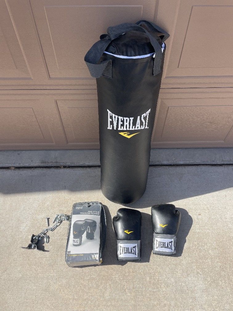 Everlast Punching Bag & Everlast Gloves