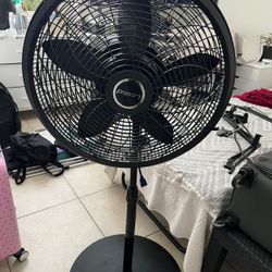 Lasko Fan 