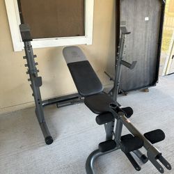 Gold's Gym XRS 20 Adjustable Bench & rack $170
